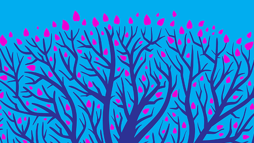 A tree adorned with vibrant pink flowers, showcasing the beauty of springtime blossoms.